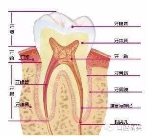 AG真人平台(中国)官方网站